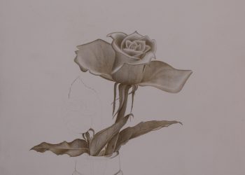 IMG_0090