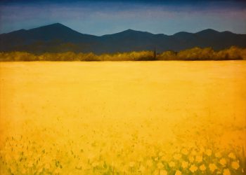 Mustard Field in Spring – Oil on Canvas, 24” x 18”