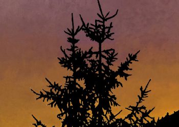 fullsizeoutput_394a-alt